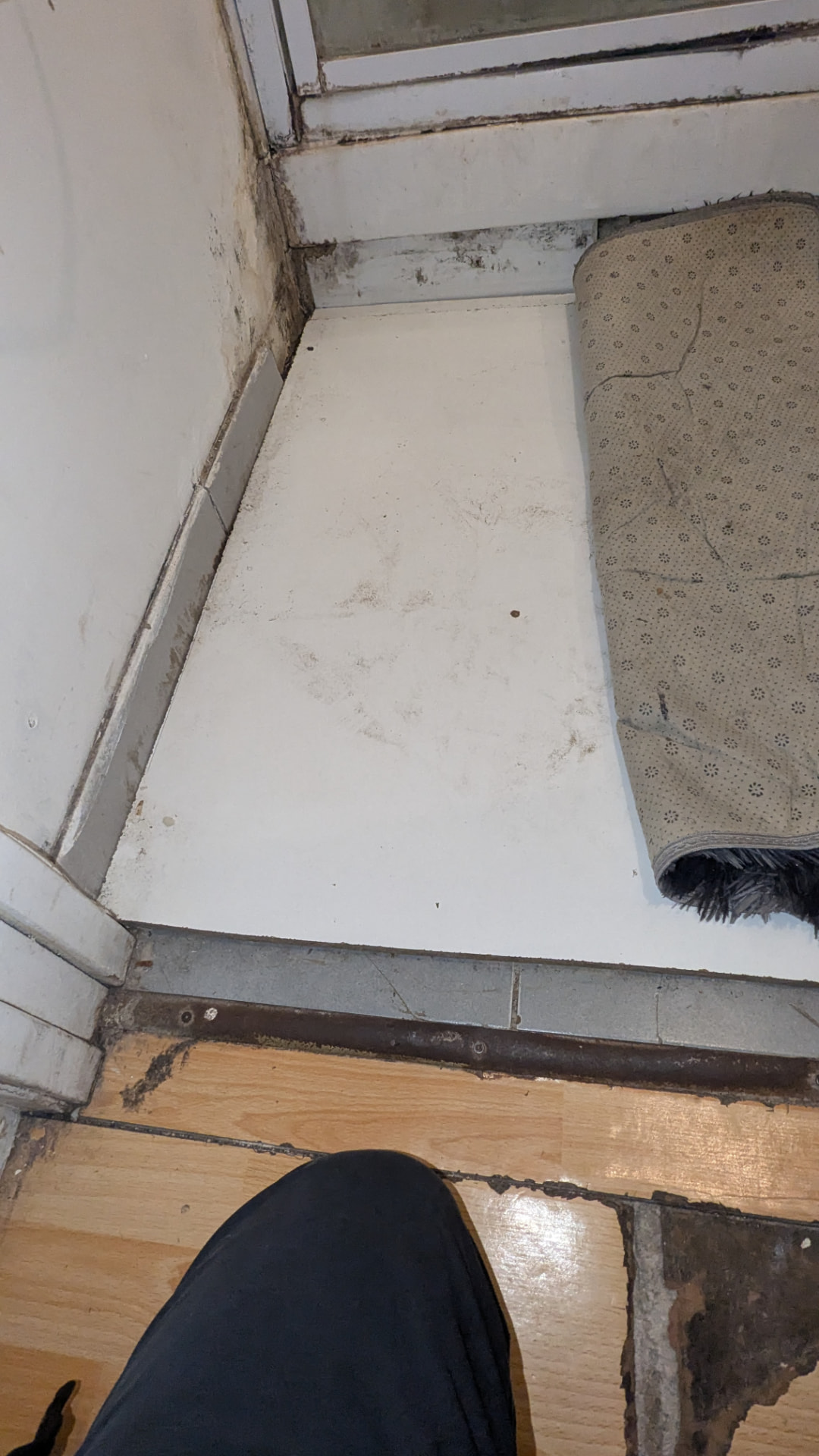 Sondage du plancher bois sous la douche : humidité ancienne, bois dégradé et développement de champignons