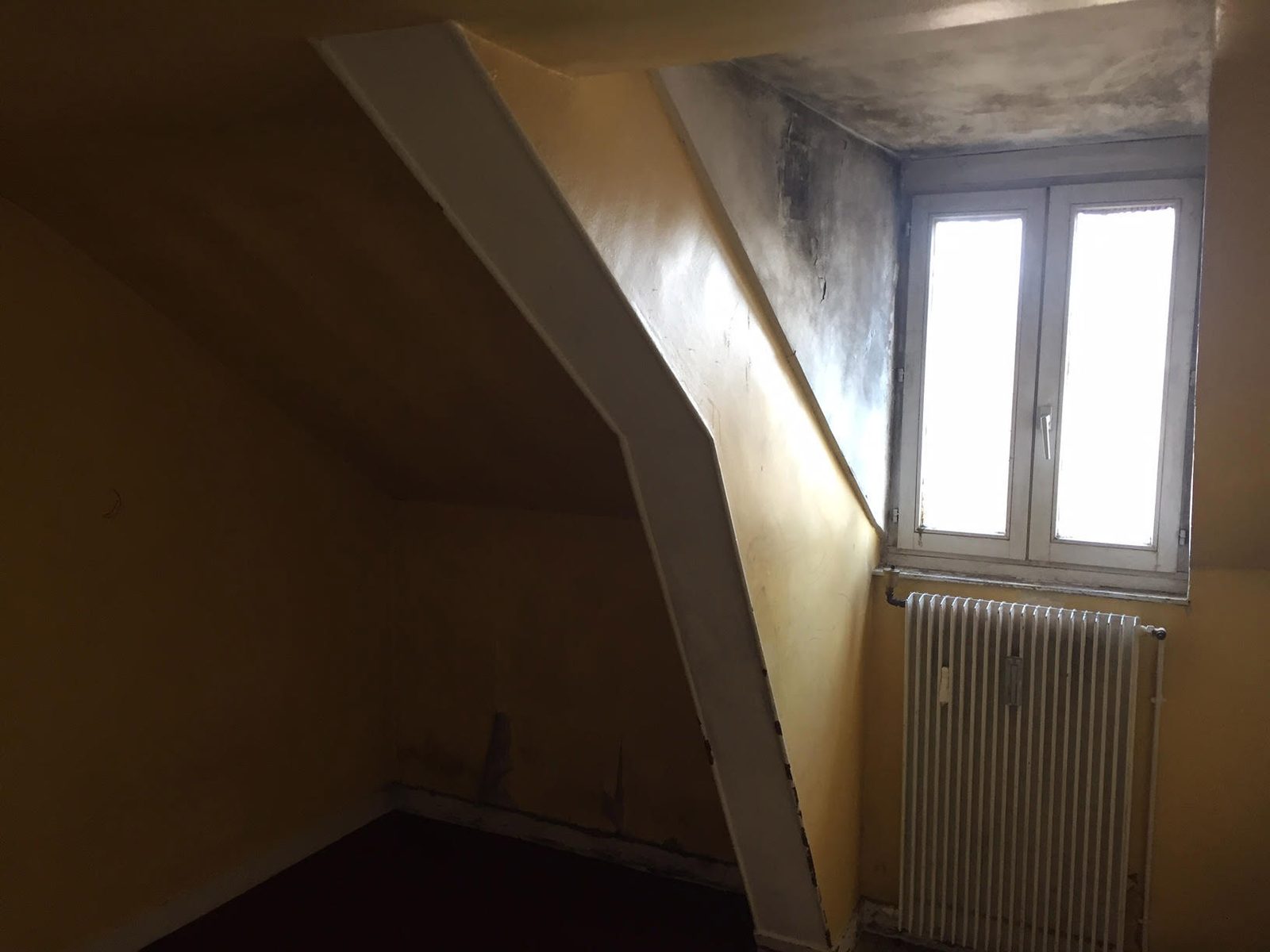 Studio à Fontainebleau avant travaux, vue 15